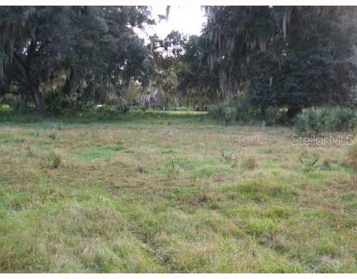 [Address Hidden by Seller], Lake Panasoffkee, FL 33538