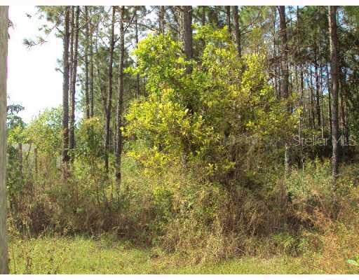 S O'brien Rd., Groveland, FL 34736