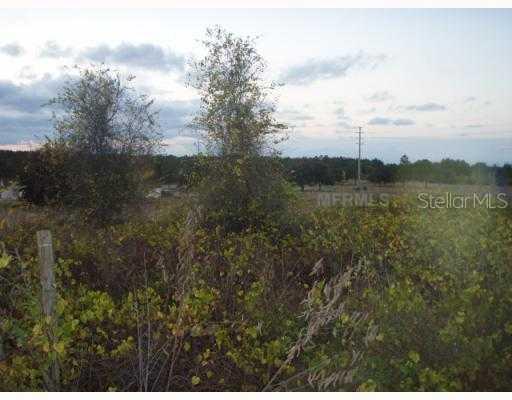 Earthstar & North Cherry Lake Groves Rd., Groveland, FL 34736