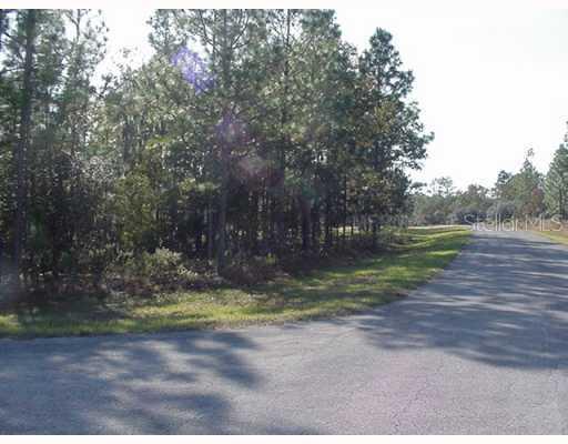 Cr 243c, Wildwood, FL 34785
