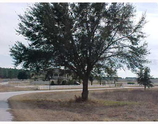 Savannah Ridge (lot 16) Ln., Winter Garden, FL 34787