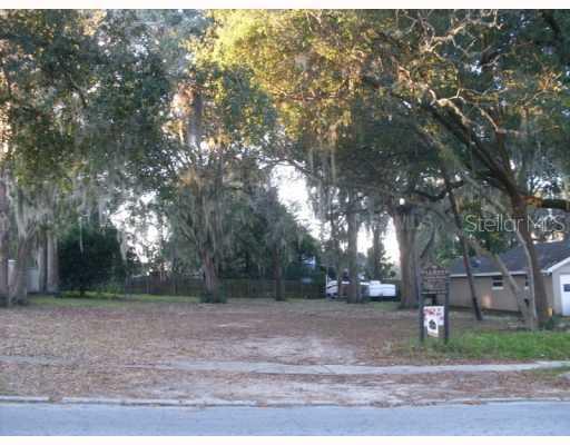 Lakeshore Dr., Mt. Dora, FL 32757