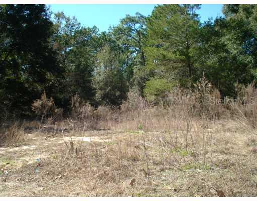 Mattawan Dr., Eustis, FL 32736