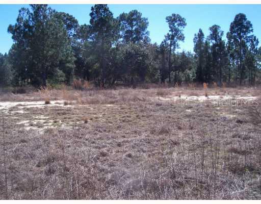 Long And Winding Road, Groveland, FL 34736