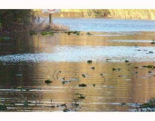 Bay St., Tavares, FL 32778