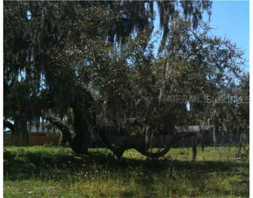 17549 Third St., Montverde, FL 34756