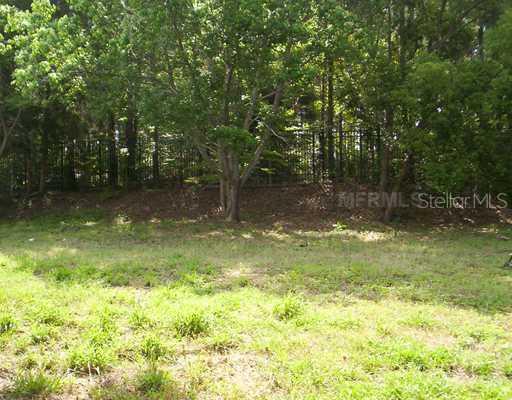 16848 Elderberry Dr., Montverde, FL 34756
