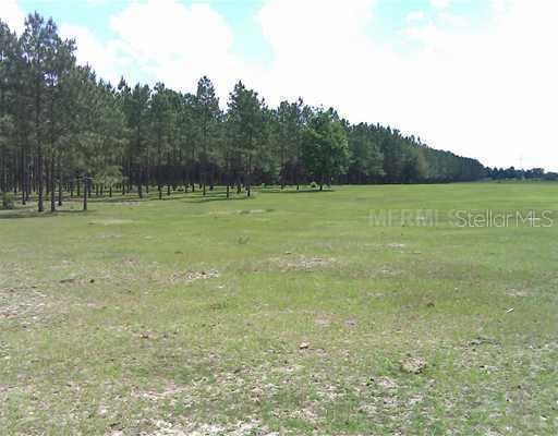 NW 102 Blvd., Wildwood, FL 34785