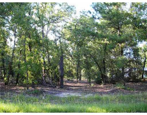 [Address Hidden by Seller], Summerfield, FL 34491