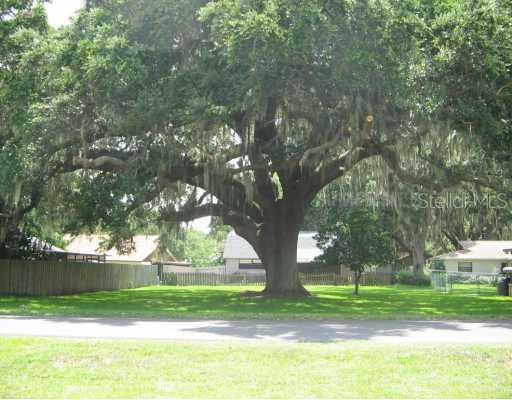 N County Road 19a, Eustis, FL 32726