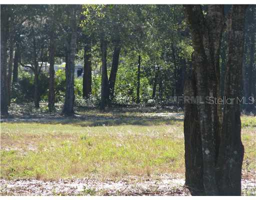 Timuquana Dr., Sorrento, FL 32776