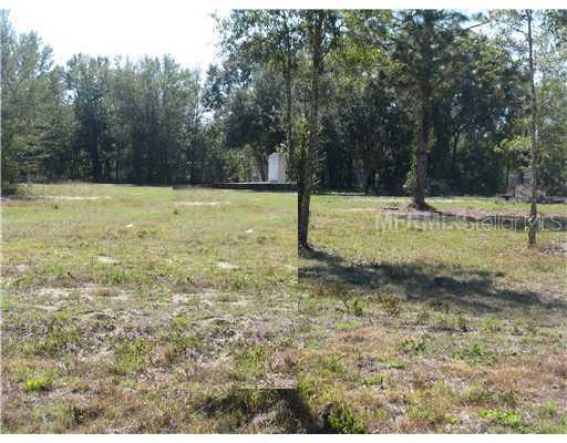 Timuquana Dr., Sorrento, FL 32776