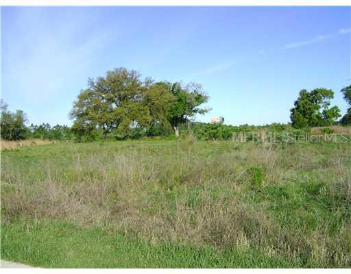 Lot 28, Long And Winding Rd., Groveland, FL 34736