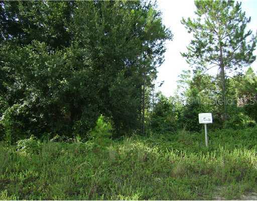 [Address Hidden by Seller], Mount Dora, FL 32757