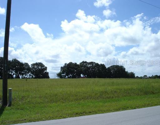 SE 104th (lot 3) Ave., Summerfield, FL 34491