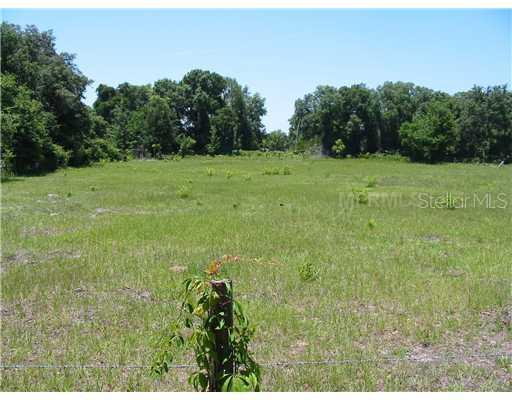 2697 Cr 774, Webster, FL 33597
