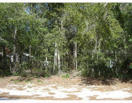 22910 Rockland Ave., Sorrento, FL 32776
