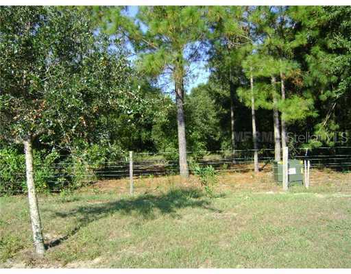 Grass Roots Rd., Groveland, FL 34736