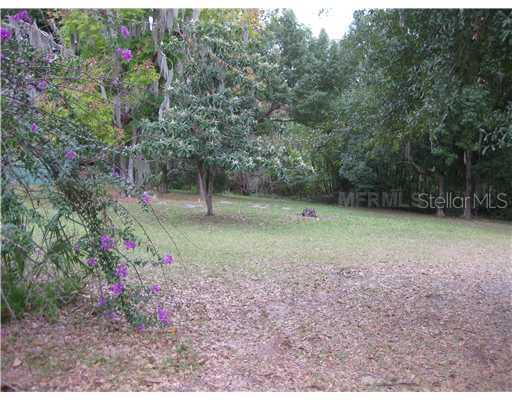 N Clayton St., Mount Dora, FL 32757