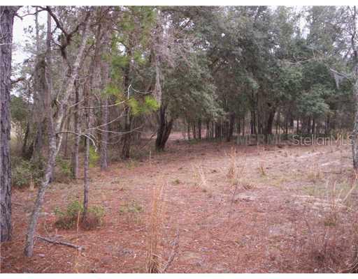 Shady Oak Place Lot 1, Groveland, FL 34736