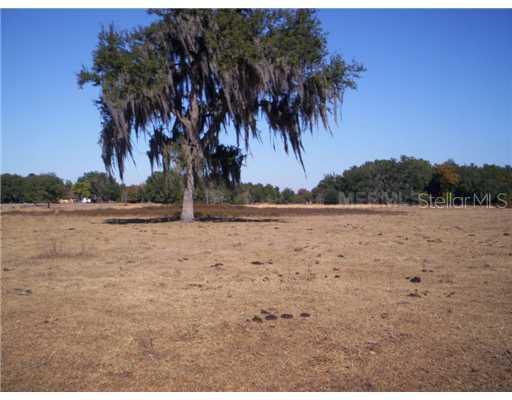 Spikeys Ln., Groveland, FL 34736