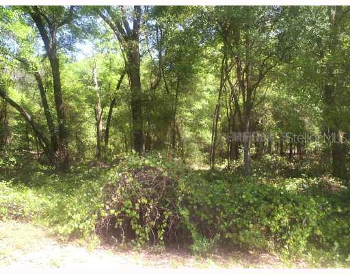 [Address Hidden by Seller], Lady Lake, FL 32159