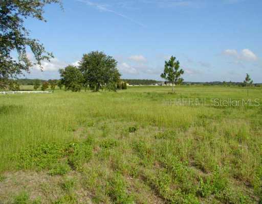 Club Drive (lot 25), Groveland, FL 34736