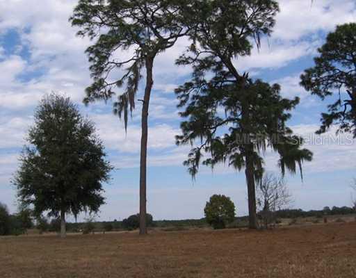 Trotting Horse (lot 11), Astatula, FL 34705