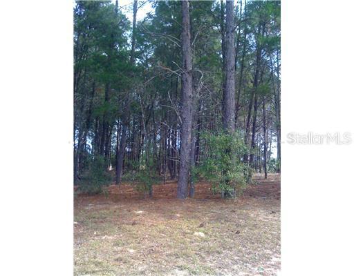 Nashua Blvd, Sorrento, FL 32776