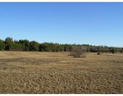 18322 Great Blue Heron Dr., Groveland, FL 34736
