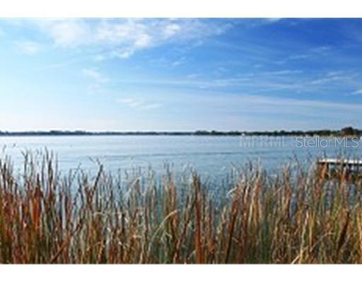 608 Lake Dora Dr., Tavares, FL 32778