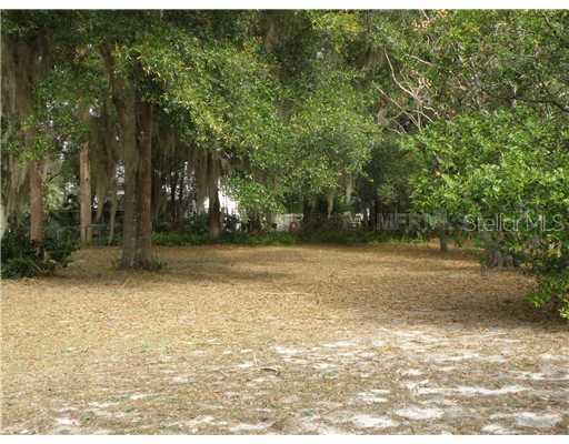 E 8th Ave., Mount Dora, FL 32757