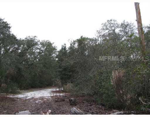 [Address Hidden by Seller], Ocklawaha, FL 32179