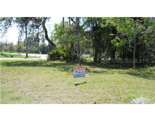Rustwood Lane, Eustis, FL 32726