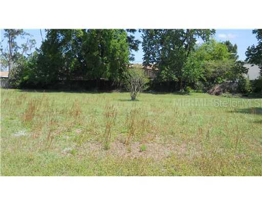 Rustwood Lane, Eustis, FL 32726