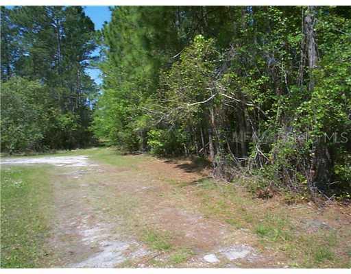 Ward Rd., Astor, FL 32102