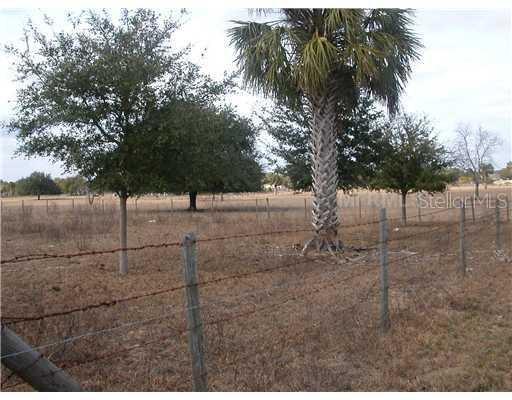 28321 Shirley Shores Rd., Tavares, FL 32778