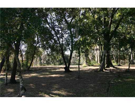 Lake  Louisa Road, Clermont, FL 34711