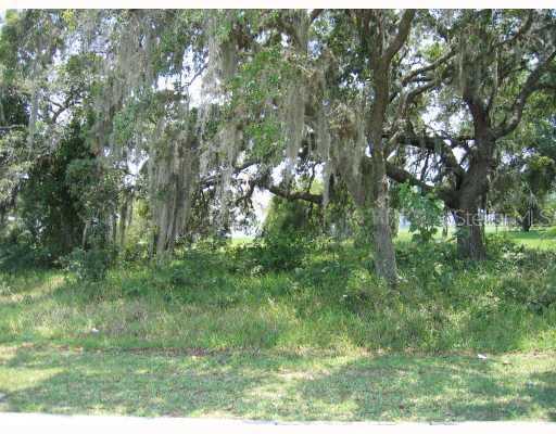 1135 Wells Ave., Tavares, FL 32778