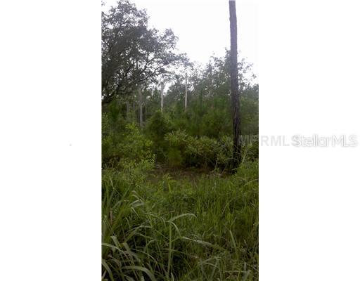 Lake Nellie Rd., Clermont, FL 34711