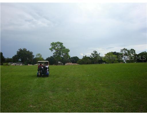 Lot 15, Wildwood, FL 34785