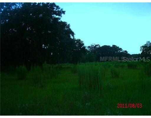 Se 34th Way, Sumterville, FL 33585