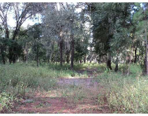 765 Sloans Ridge Rd., Groveland, FL 34736