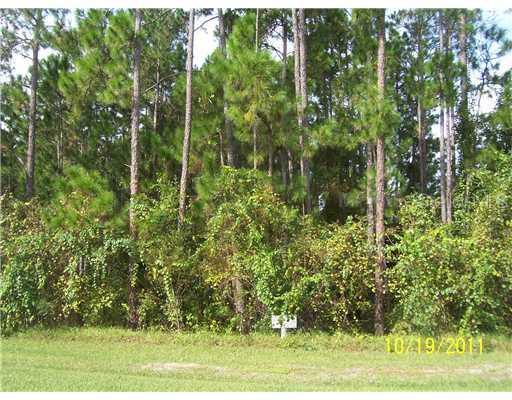 Lot 20 Beauclair Ranch Club, Tavares, FL 34705