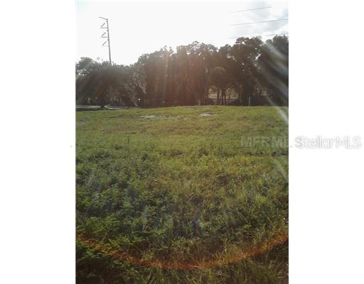 Rainey Road, Sorrento, FL 32776