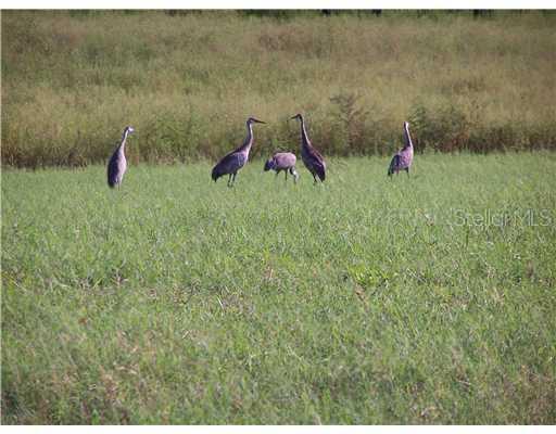 3423 Eden Ln., Groveland, FL 34736