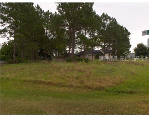 Jacaranda Ave, Clermont, FL 34711