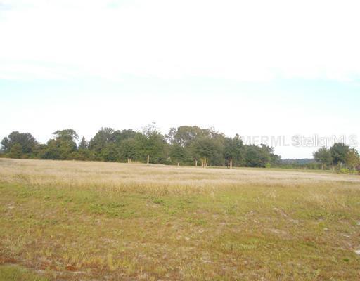 Lot 11 Eagle Run, Groveland, FL 34736