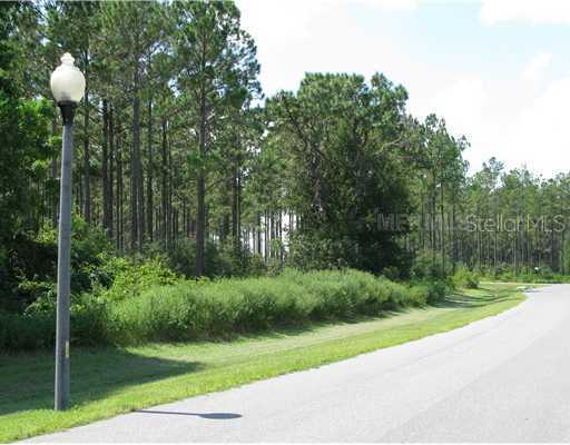 Ne 104th Circle  Lot #16, Oxford, FL 34484