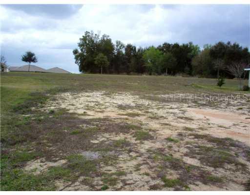 Blue Savannah Lot 630, Leesburg, FL 34748